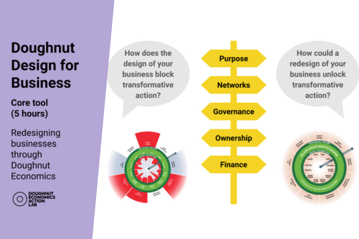 Infographic showing Doughnut Economics business tool with redesign questions and key organisational elements.